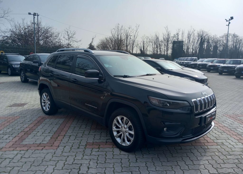 JEEP Cherokee 2.2 mjt Business 4wd Automatica - 3