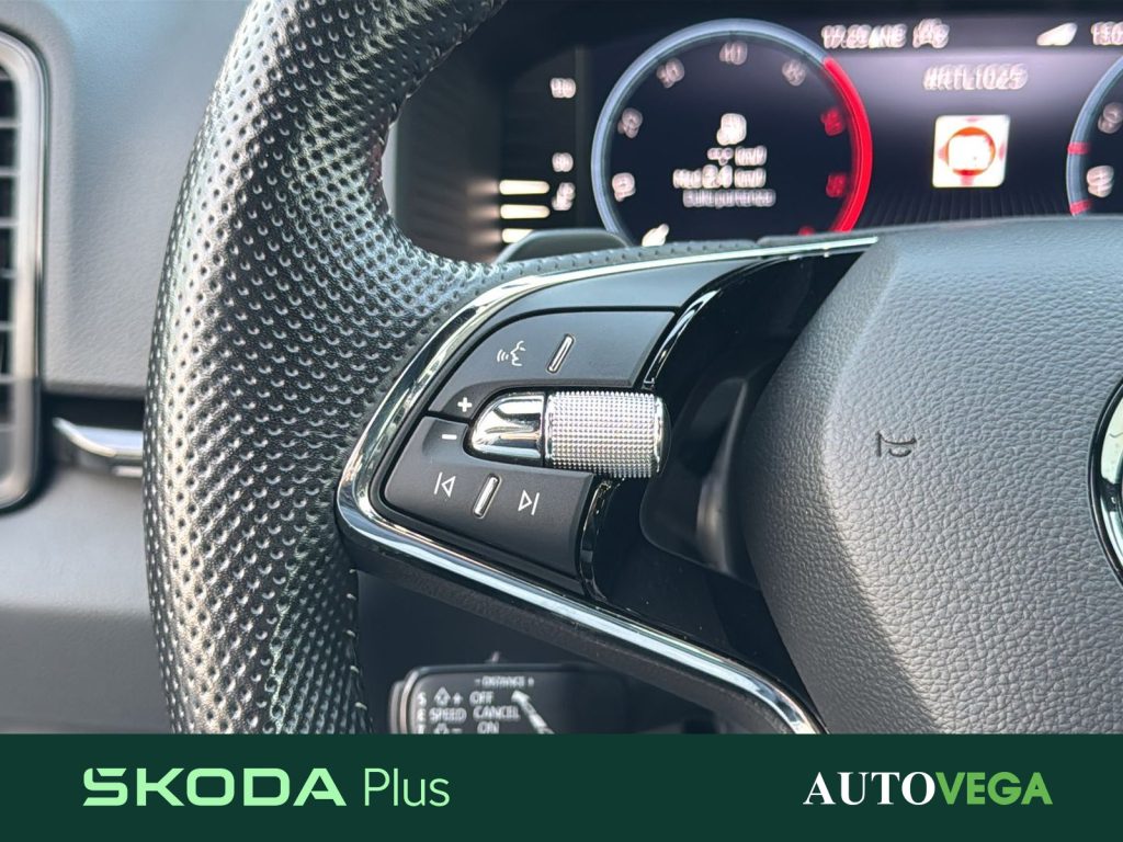 SKODA Karoq 2.0 tdi evo sportline 115cv dsg - 19