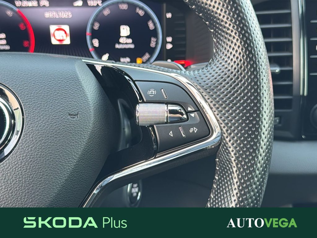 SKODA Karoq 2.0 tdi evo sportline 115cv dsg - 20