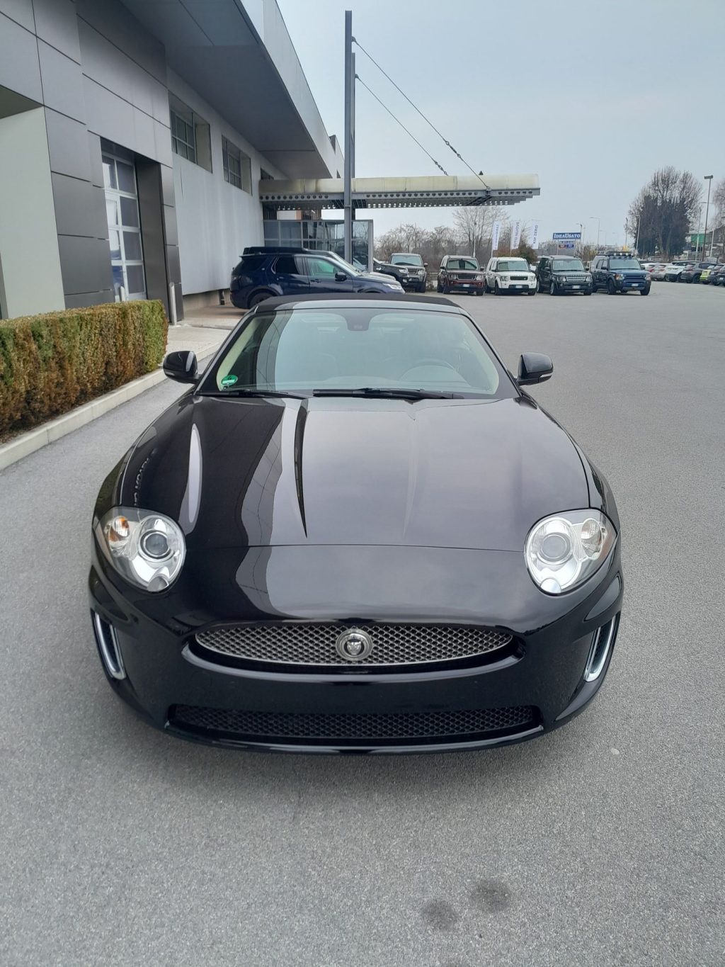 JAGUAR XK XK Cabrio 5.0 Portfolio auto - 2