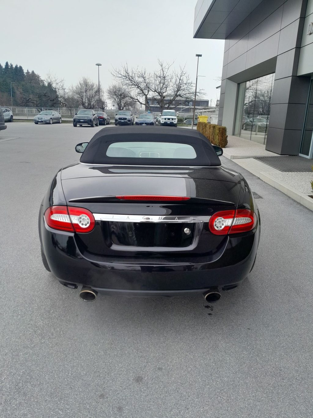 JAGUAR XK XK Cabrio 5.0 Portfolio auto - 7