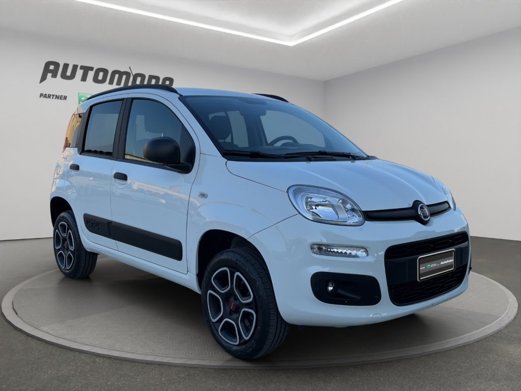 FIAT Panda Van 2posti 4X4 - 3