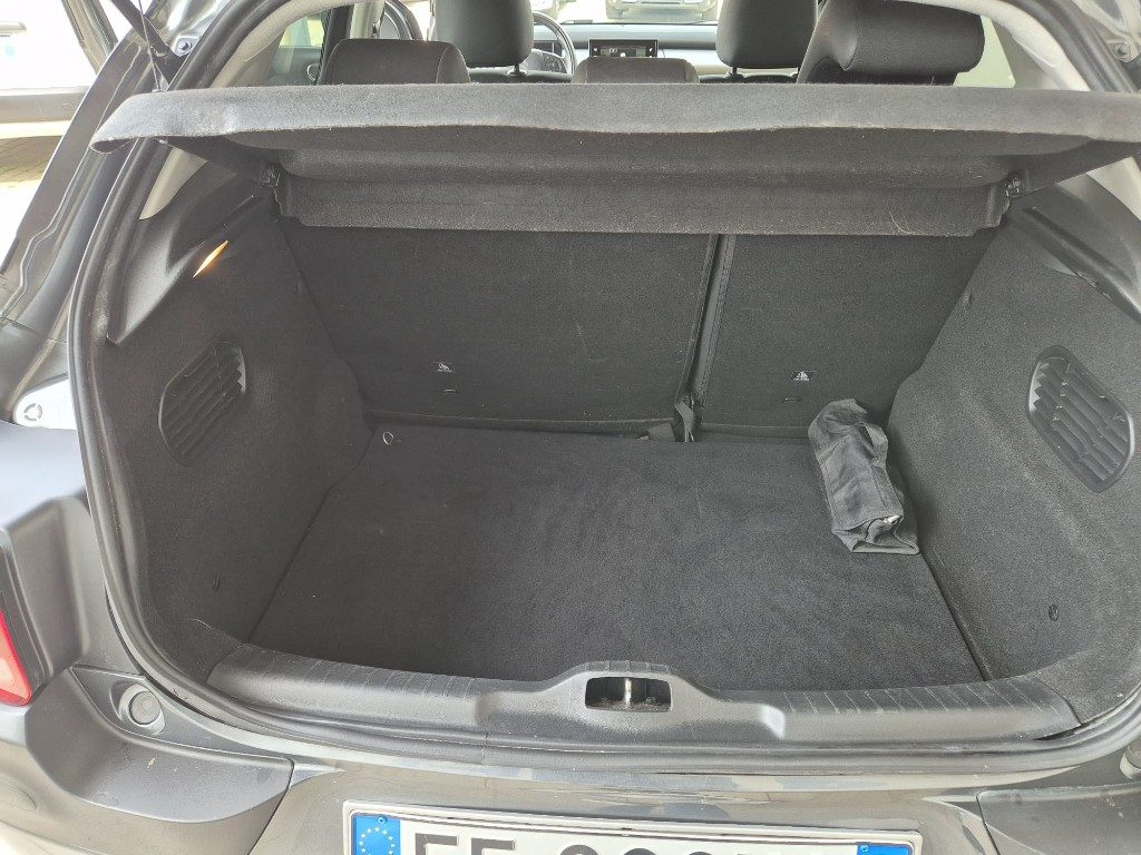 CITROEN C4 Cactus BlueHDi 100 Shine - 14