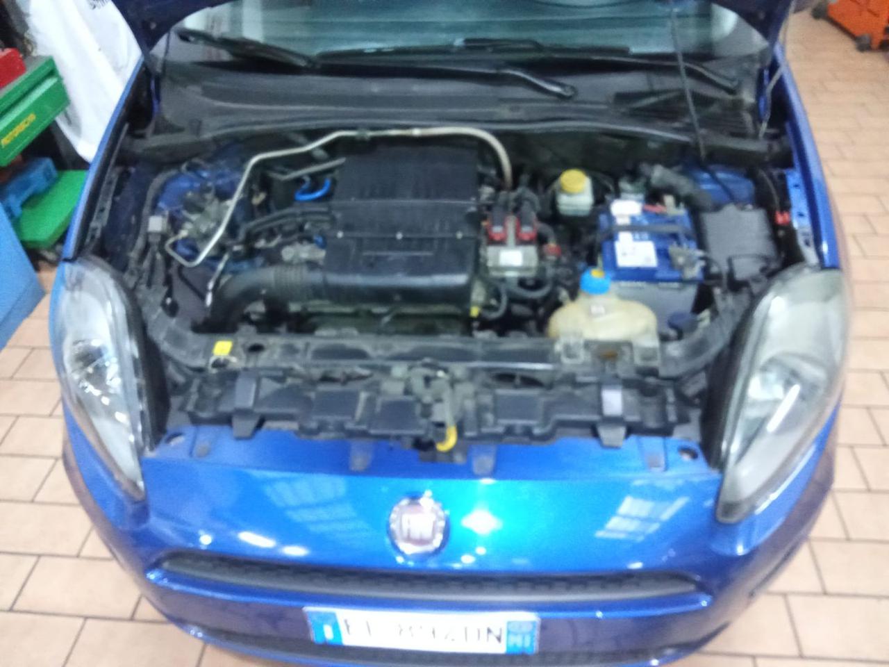 FIAT Punto Evo 1.4 5 porte Dynamic Natural Power - 12