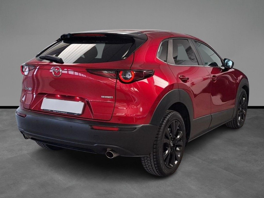 MAZDA CX-30 2.0L Skyactiv-G 150 CV M Hybrid 2WD Executive - 15