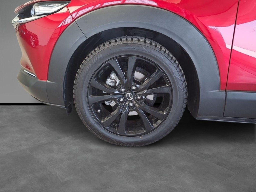 MAZDA CX-30 2.0L Skyactiv-G 150 CV M Hybrid 2WD Executive - 4