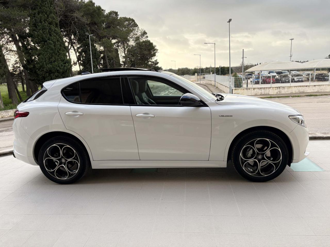 ALFA ROMEO Stelvio 2.2 Turbodiesel 210 CV AT8 Q4 Veloce - 4
