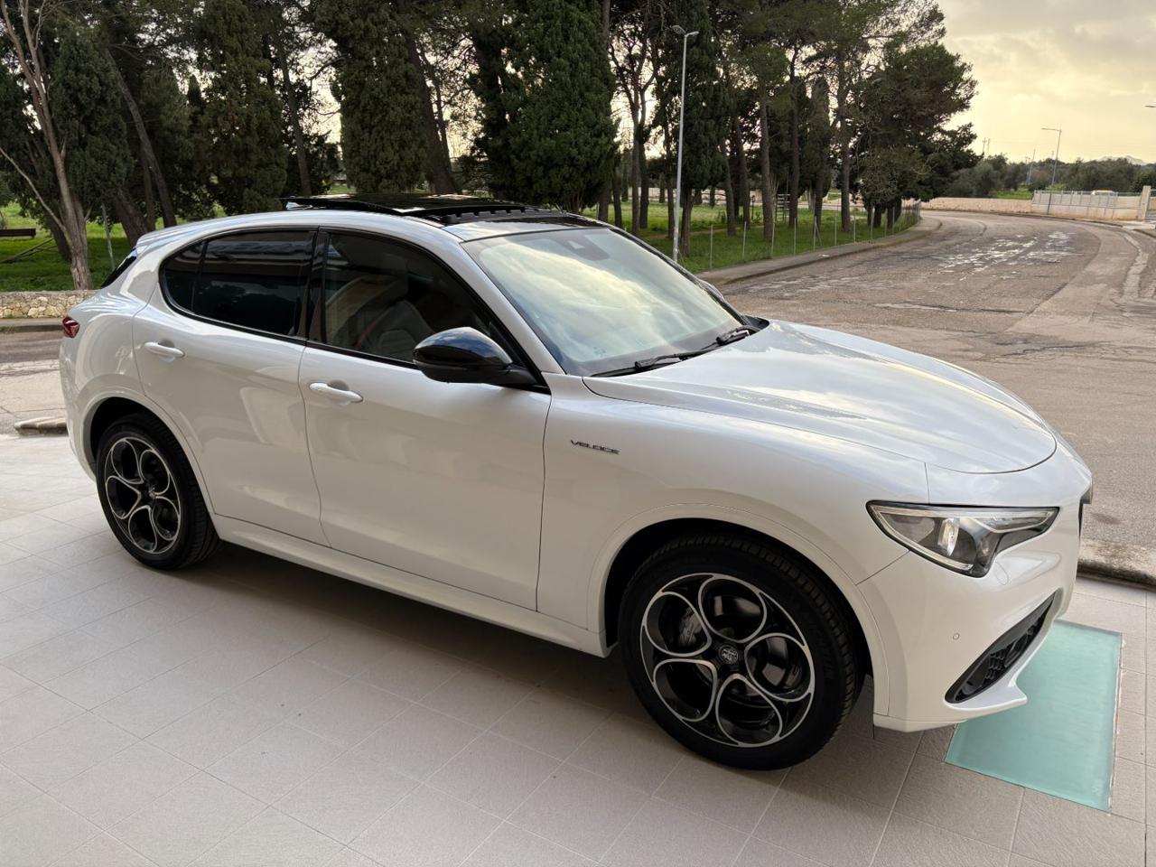 ALFA ROMEO Stelvio 2.2 Turbodiesel 210 CV AT8 Q4 Veloce - 3