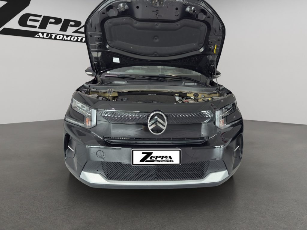 CITROEN C3 PureTech 100 S&S Max - 21