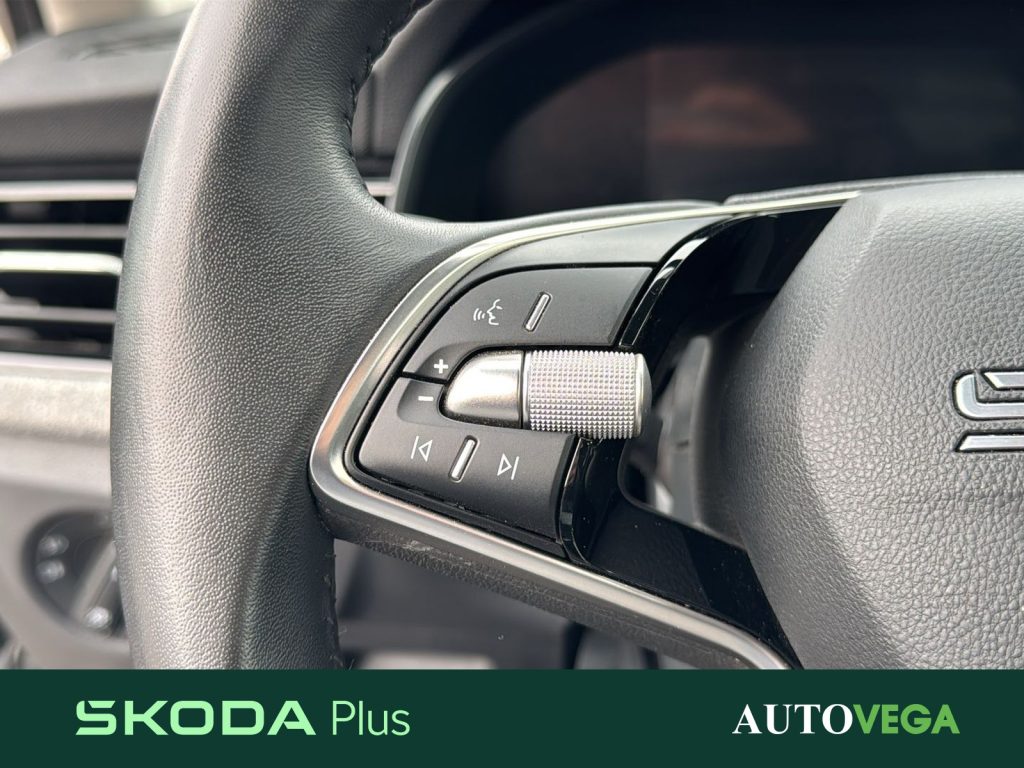 SKODA Kamiq 1.0 tsi selection 95cv - 19