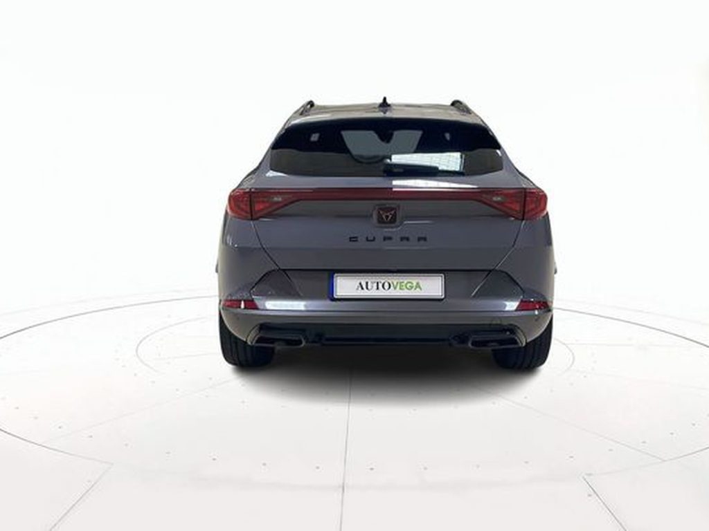 CUPRA Formentor 2.0 tdi 4drive 150cv dsg - 5