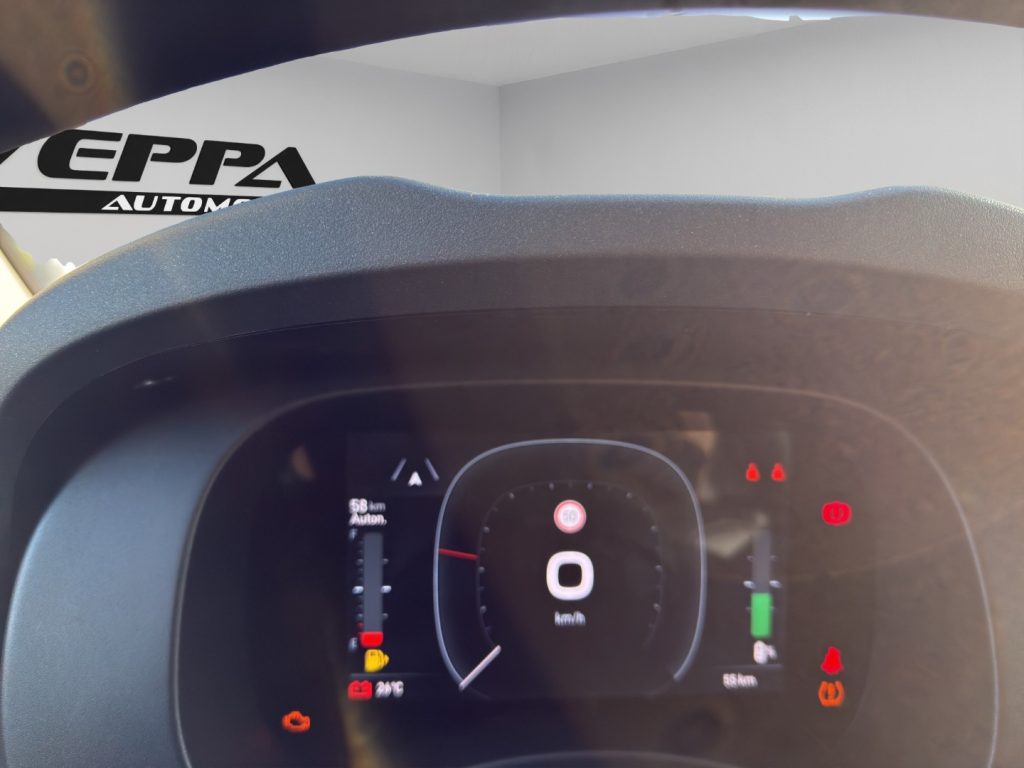 FIAT Panda 1.0 FireFly S&S Hybrid Icon - 11