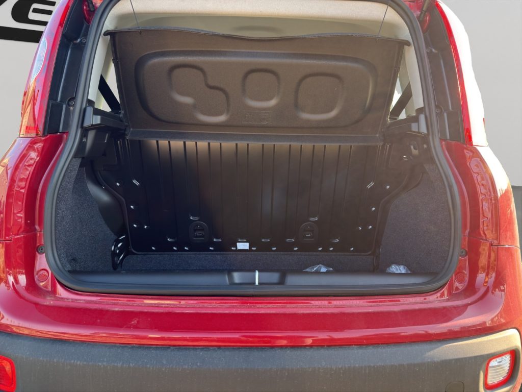 FIAT Panda 1.0 FireFly S&S Hybrid Icon - 19