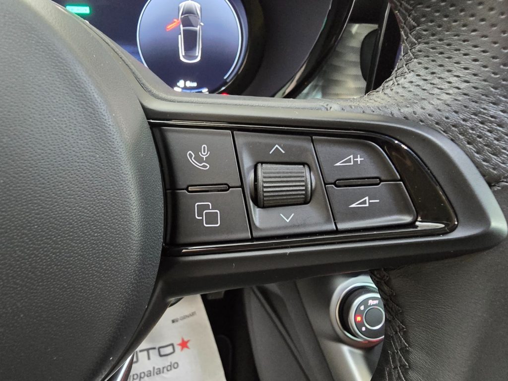 ALFA ROMEO Tonale 1.3 280 CV PHEV AT6 Q4 Ti - 14