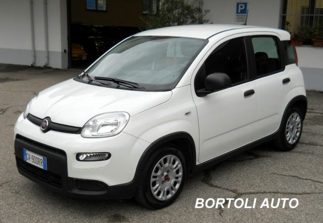 FIAT Panda Bianco pastello