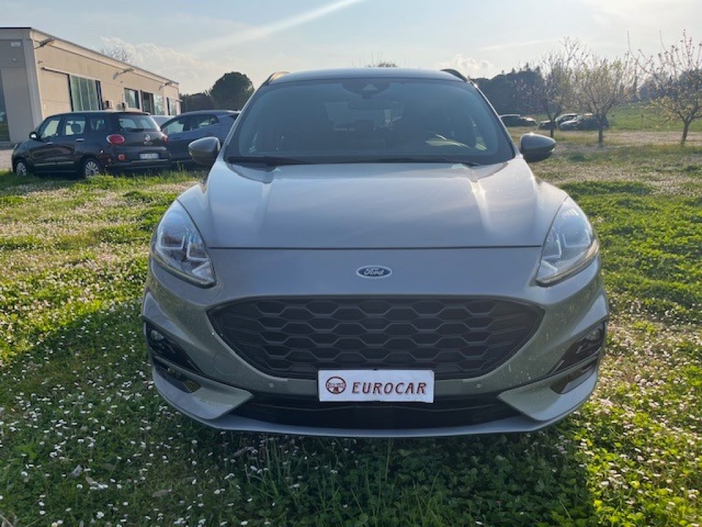 FORD Kuga 1.5 EcoBlue 120 CV 2WD ST-Line - 2