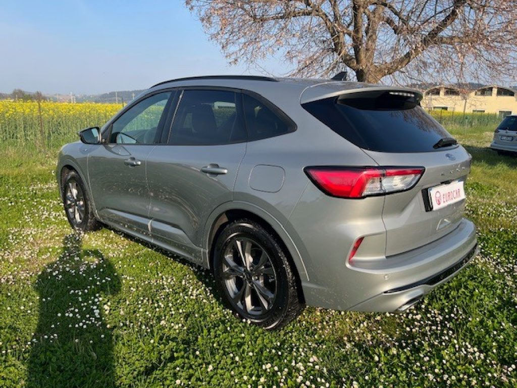 FORD Kuga 1.5 EcoBlue 120 CV 2WD ST-Line - 6