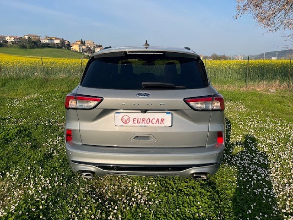 FORD Kuga 1.5 EcoBlue 120 CV 2WD ST-Line - 7