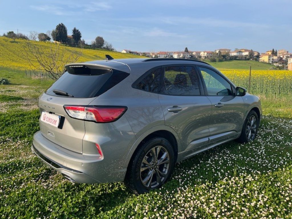 FORD Kuga 1.5 EcoBlue 120 CV 2WD ST-Line - 8