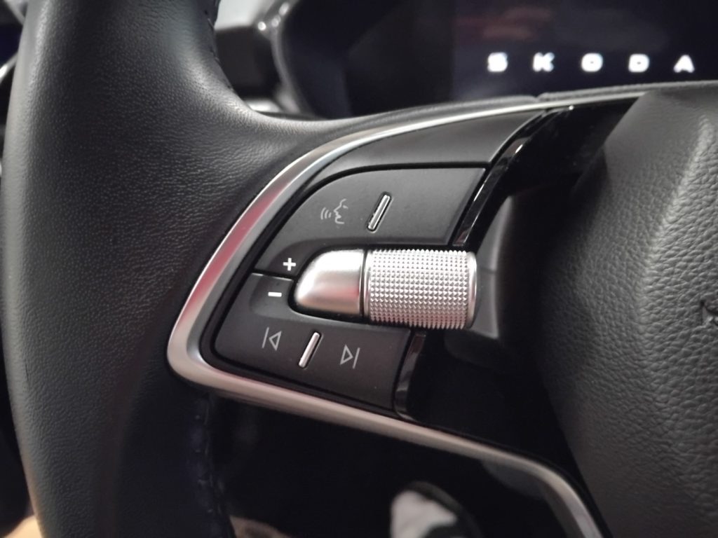 SKODA Fabia 1.0 MPI 80 CV Selection - 19