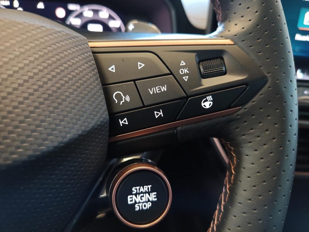 CUPRA Formentor 1.5 e-Hybrid 204 CV DSG - 19