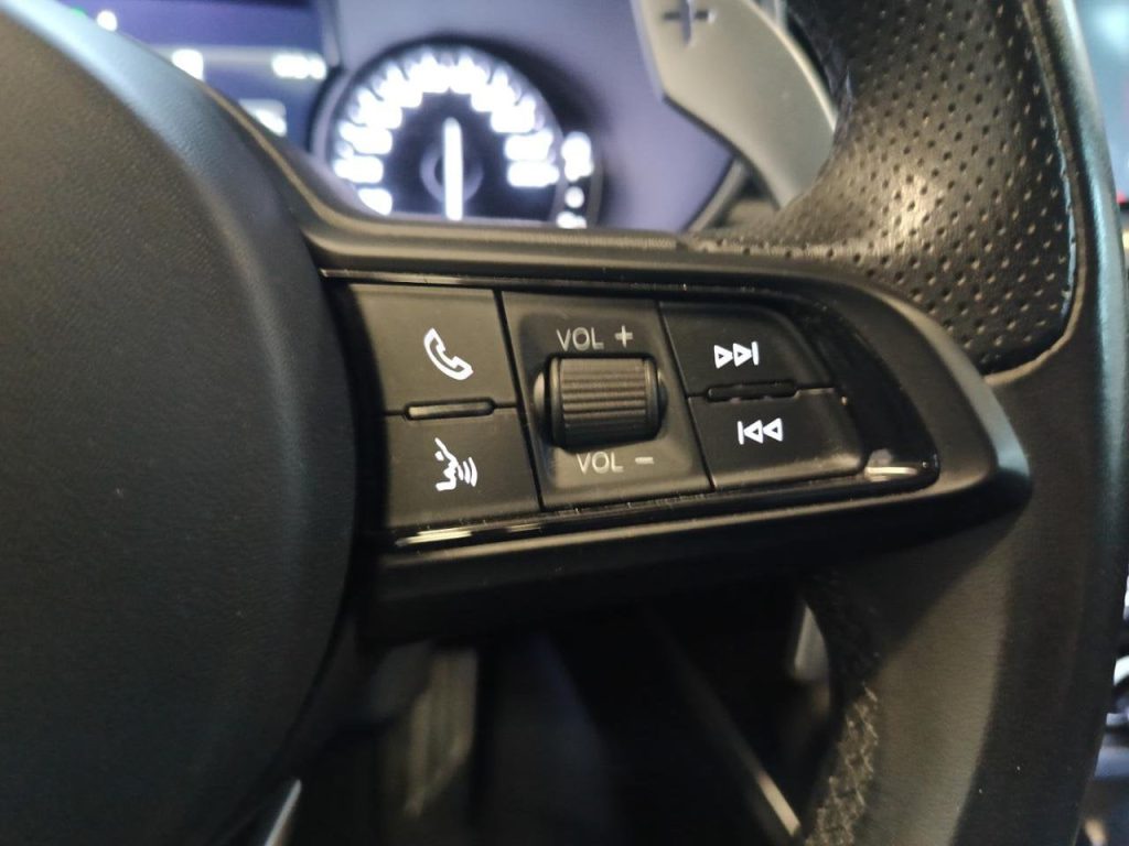 ALFA ROMEO Stelvio 190 CV Auto Q4 Executive - 19