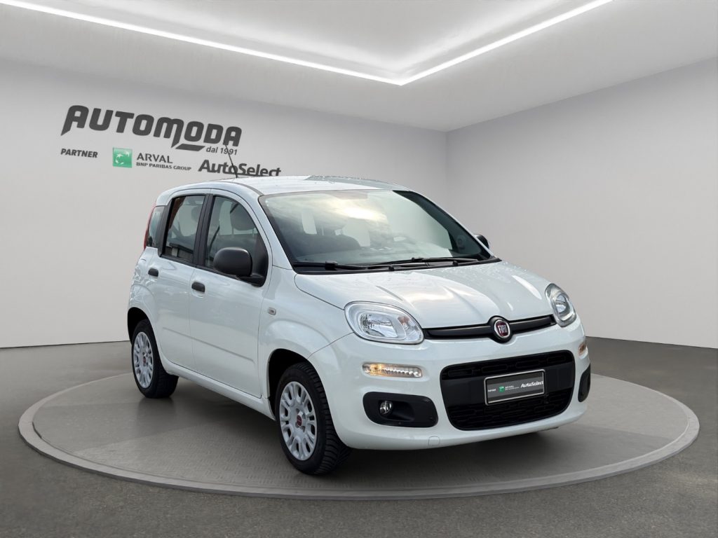 FIAT Panda 1.2bz van 4 posti - 3