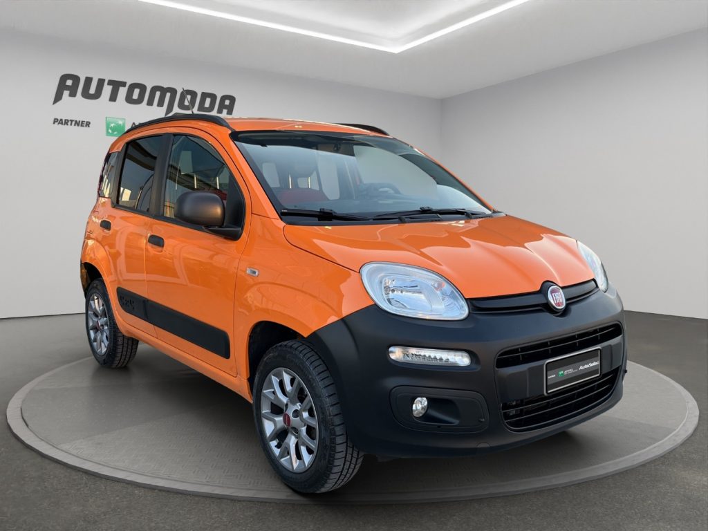 FIAT Panda 1.3MJT VAN 4X4 80CV - 3