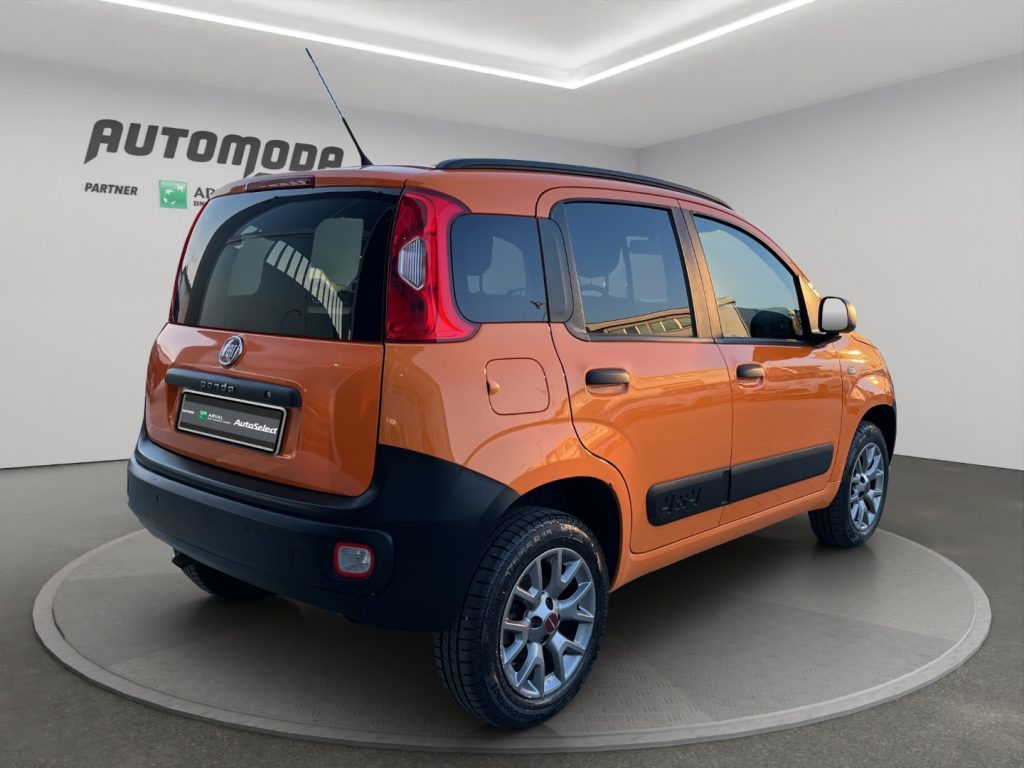 FIAT Panda 1.3MJT VAN 4X4 80CV - 4