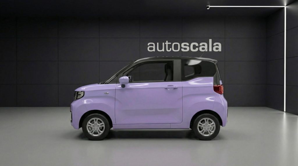 BIRBA Birba Classic con rottamazione - 2