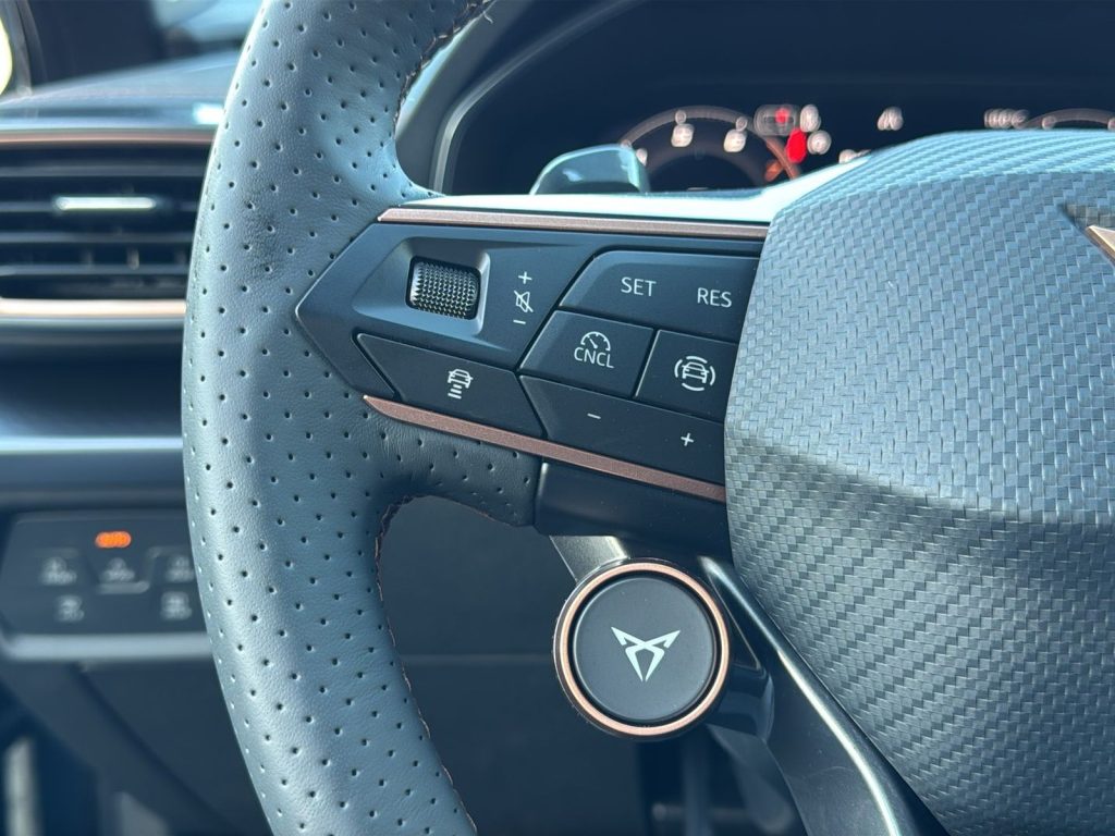 CUPRA Formentor 1.5 e-hybrid 204cv dsg - 20