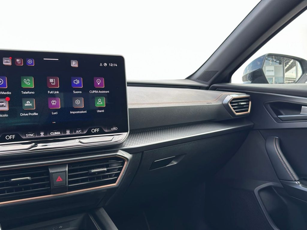 CUPRA Formentor 2.0 tdi 150cv dsg - 21