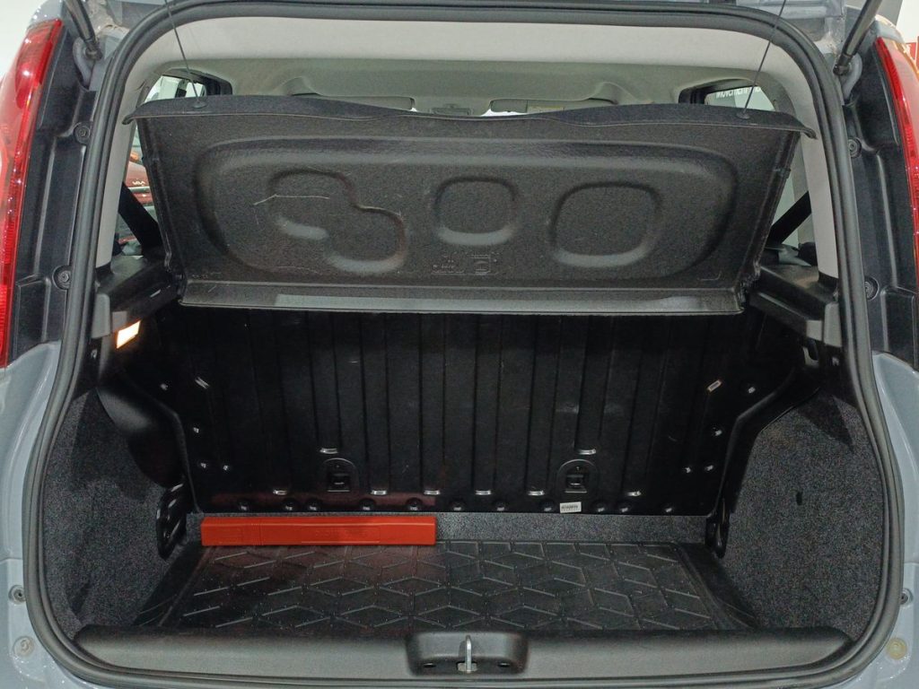 FIAT Panda 1.0 FireFly S&S Hybrid - 12