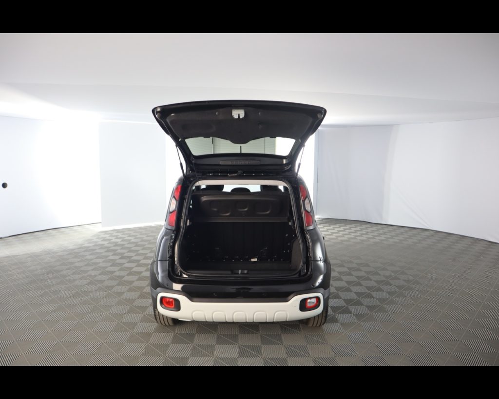 FIAT Pandina III 2024 Cross -  Cross 1.0 firefly hybrid s&s 70 - 19