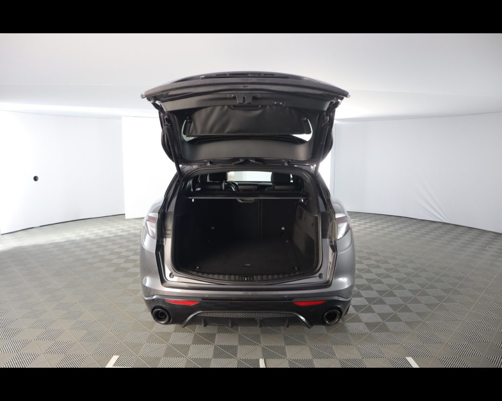 ALFA ROMEO Stelvio 2023 -  2.2 t Veloce Q4 210cv auto - 19
