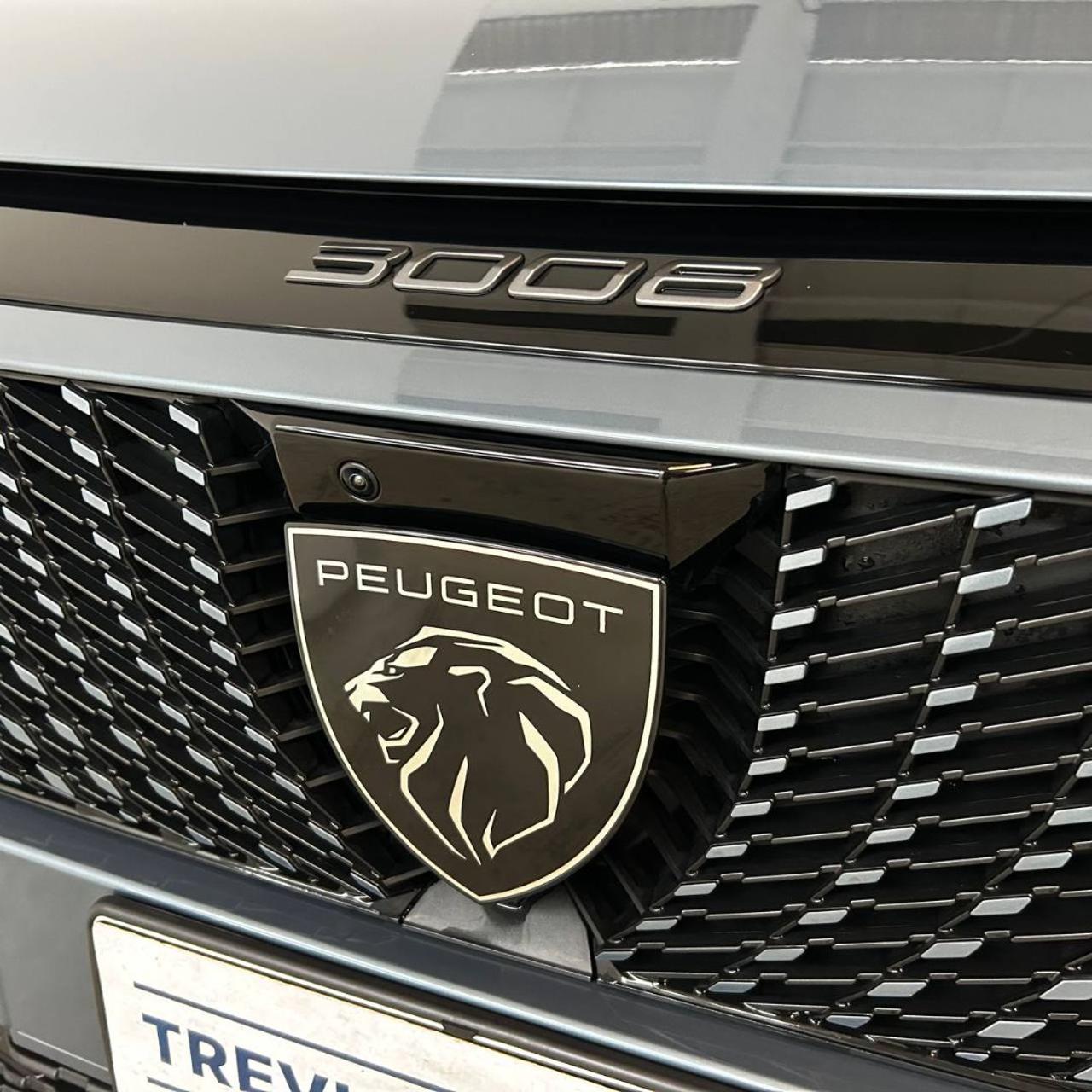 PEUGEOT 3008 motore elettrico (73kWh) 210 CV GT - 37