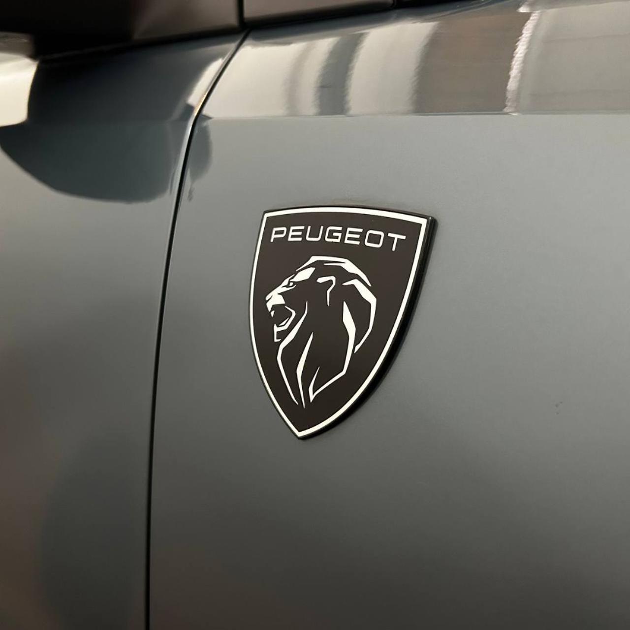 PEUGEOT 3008 motore elettrico (73kWh) 210 CV GT - 41