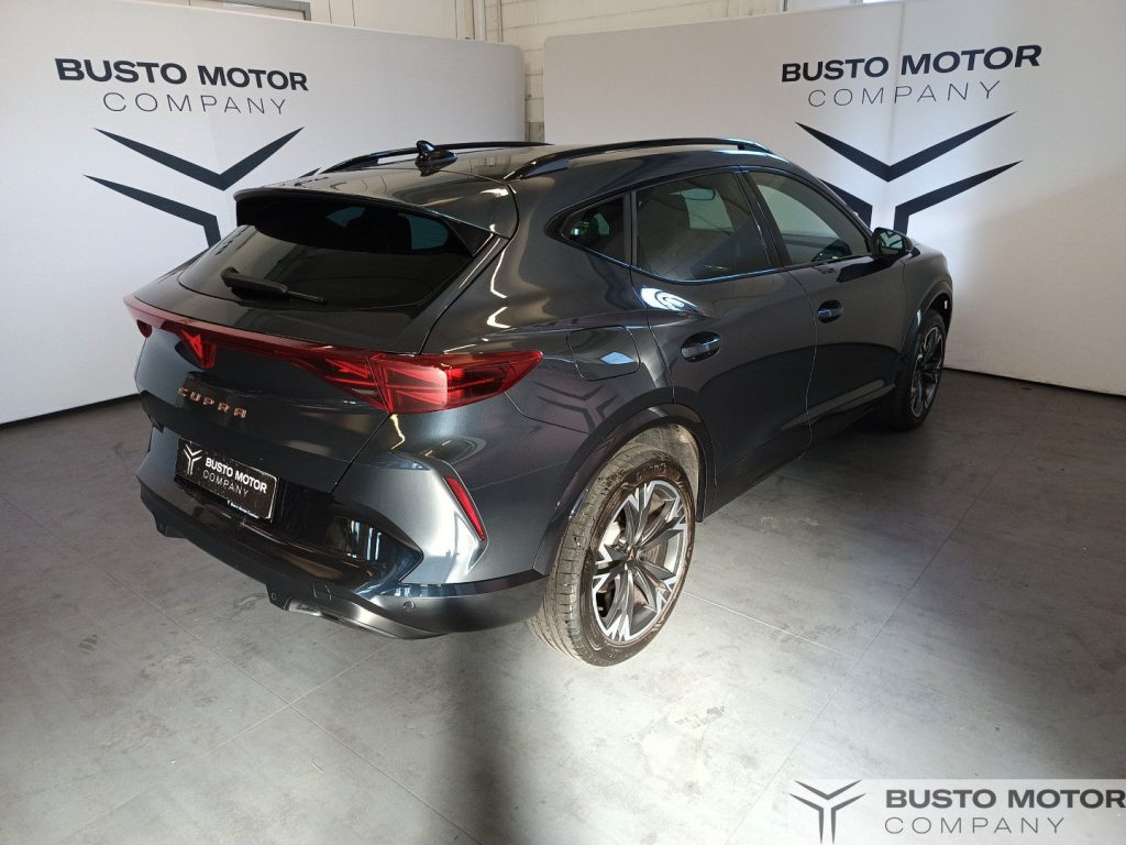 CUPRA Formentor Formentor 2.0 tdi 150cv dsg - 6