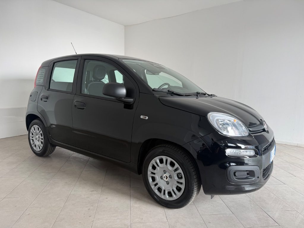 FIAT Pandina 1.0 FireFly 65 CV .Hybrid Icon - 16