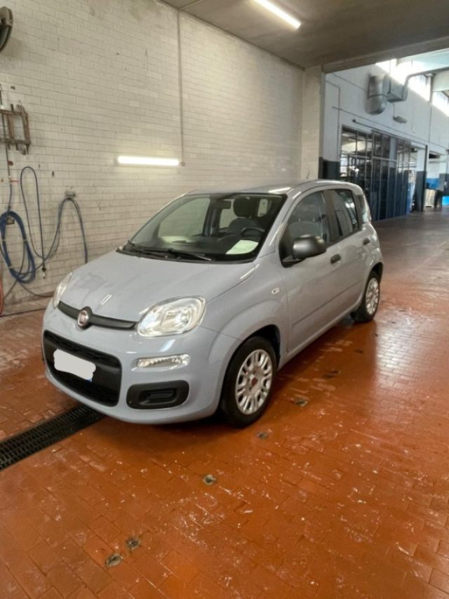 FIAT Panda Grigio pastello
