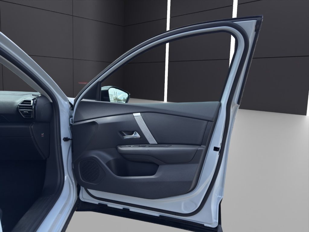 CITROEN C4 PureTech 130 S&S Max - 17