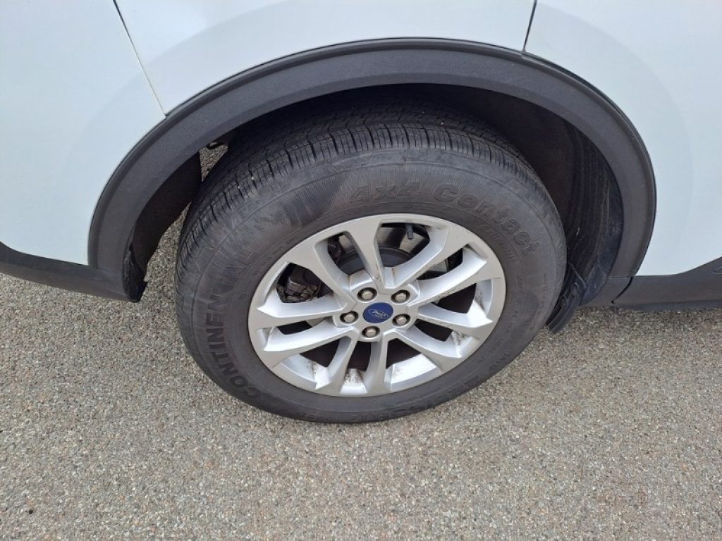 FORD Kuga 1.5 EcoBlue 120 CV aut. 2WD TITAM BUS*IVA ESPOSTA* - 7