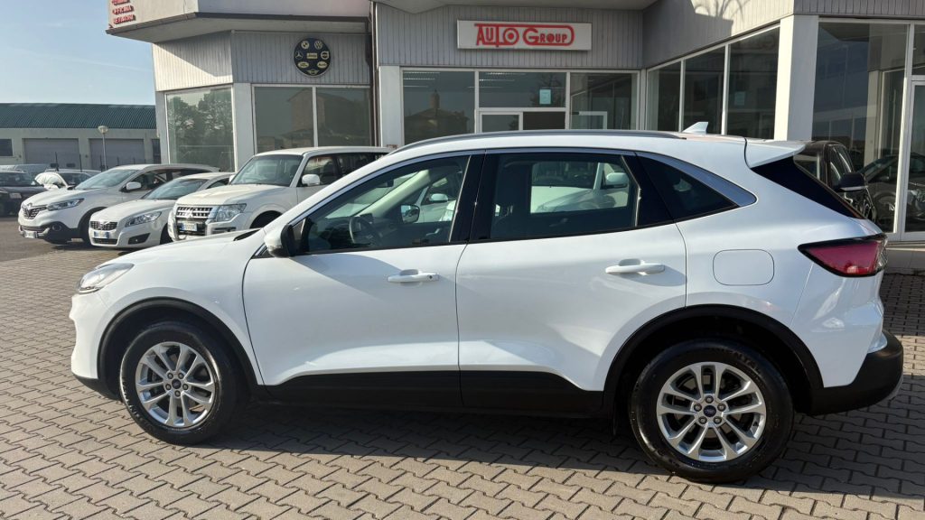 FORD Kuga 1.5 EcoBlue 120 CV aut. 2WD TITAM BUS*IVA ESPOSTA* - 5