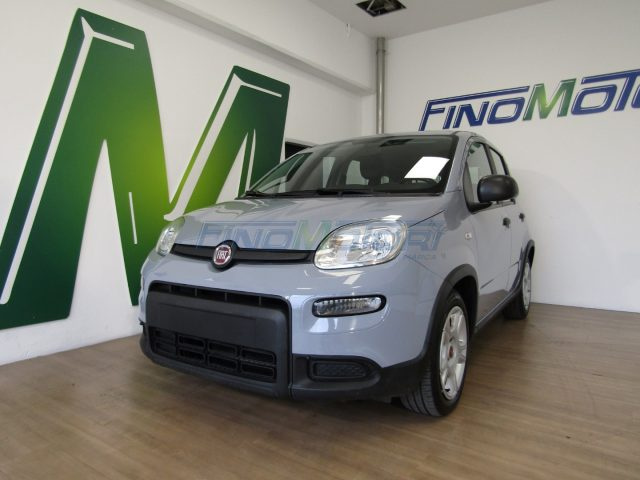 FIAT Panda Grigio pastello