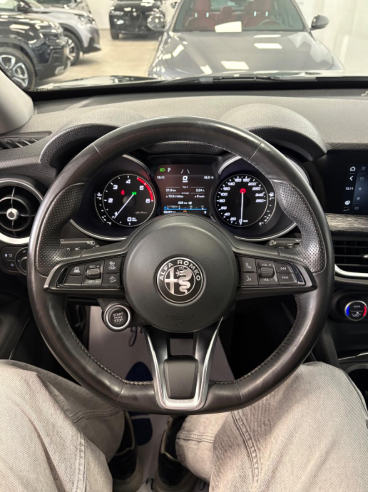 ALFA ROMEO Stelvio 2.2 Turbodiesel 190 CV AT8 Q4 Business - 9