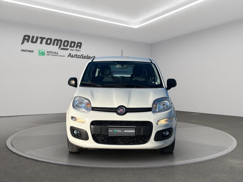 FIAT Panda FIAT PANDA 1.0 VAN 4 POSTI N1 - 2