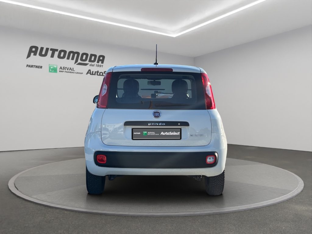 FIAT Panda FIAT PANDA 1.0 VAN 4 POSTI N1 - 5