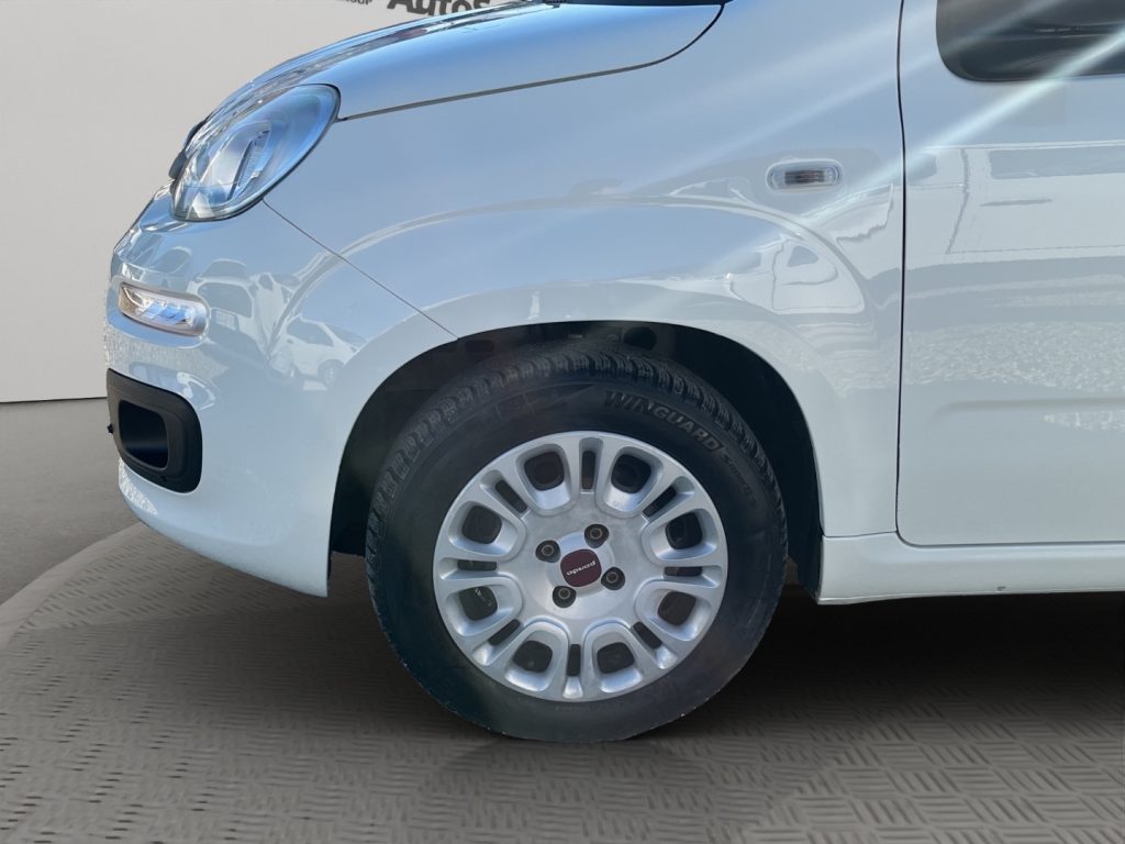 FIAT Panda FIAT PANDA 1.0 VAN 4 POSTI N1 - 19