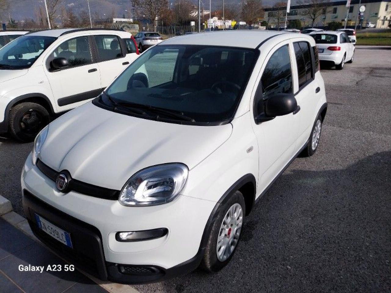FIAT Panda 1.0 S&S Hybrid Van 2 posti - 2