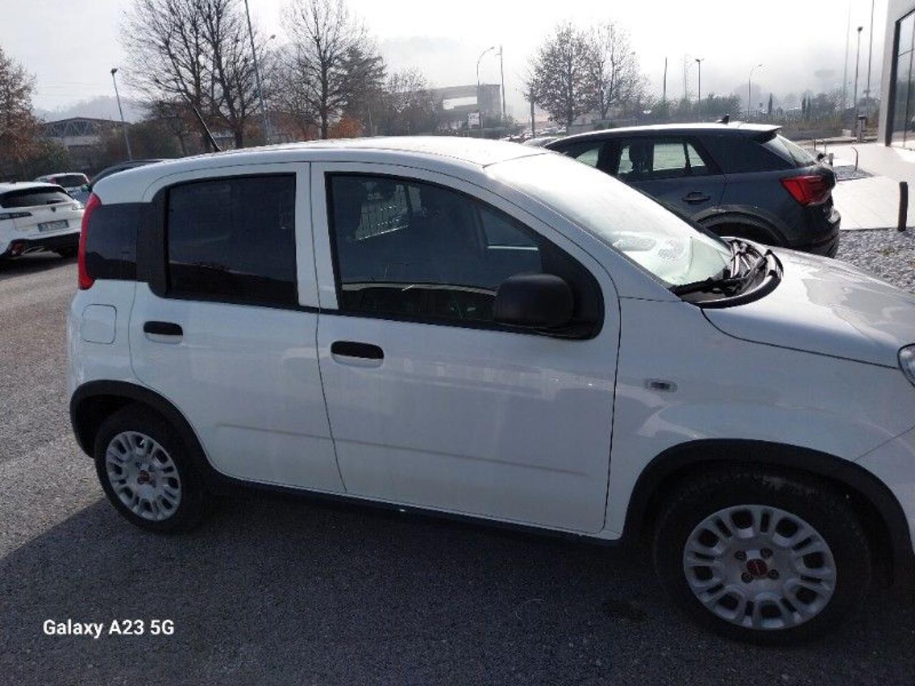 FIAT Panda 1.0 S&S Hybrid Van 2 posti - 8